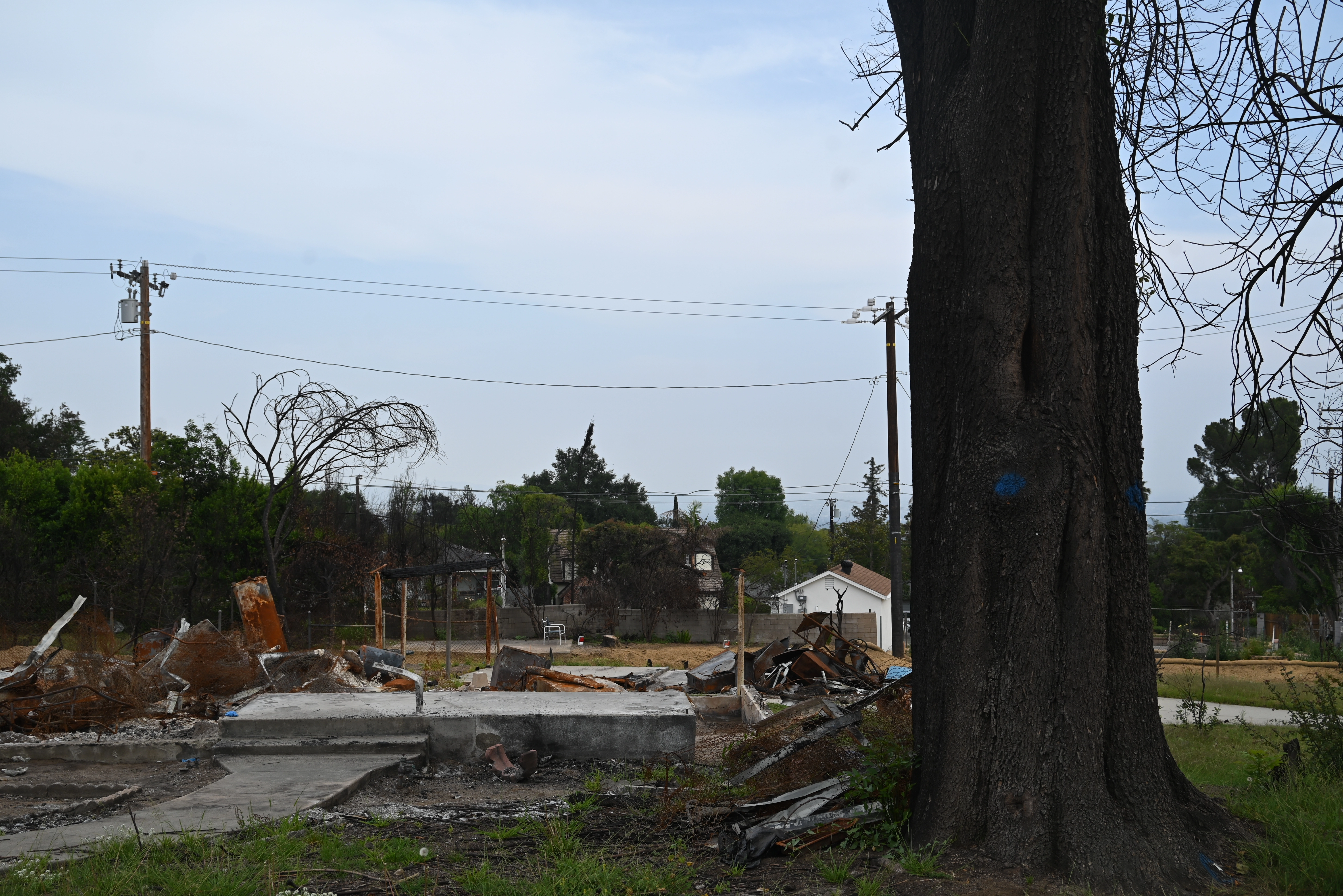 Altadena - 2025